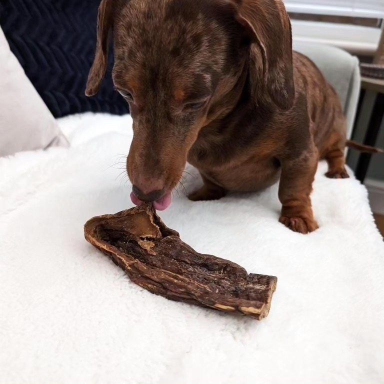 Ginnster 1jpg